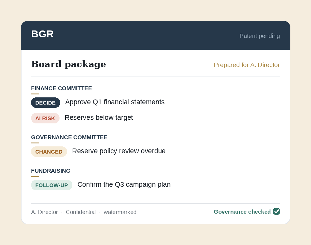 A BGR director brief: a board package prepared for one director, organized by committee into decide, changed, risk, and follow-up items, marked governance checked